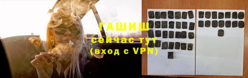 ГАШ Premium Новое Девяткино